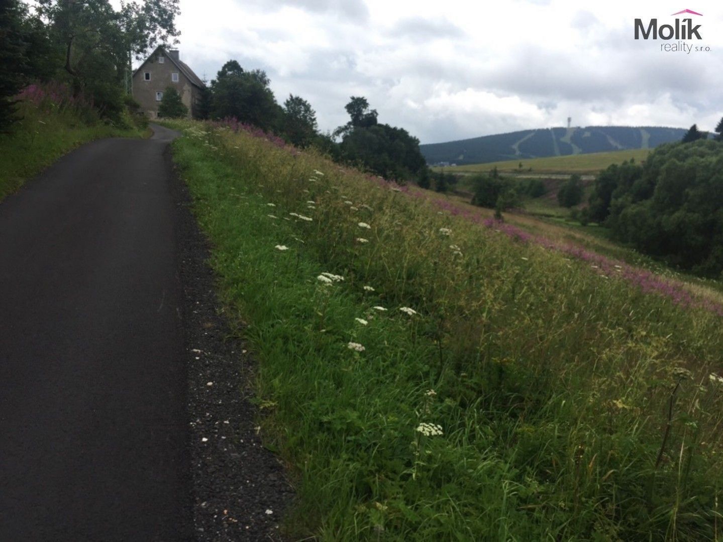 Prodej komerční pozemek - Háj, Loučná pod Klínovcem, 15 157 m²