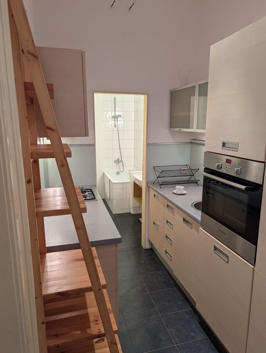 Pronájem byt 2+kk - Pod Karlovem, Praha - Vinohrady, 58 m² - 5