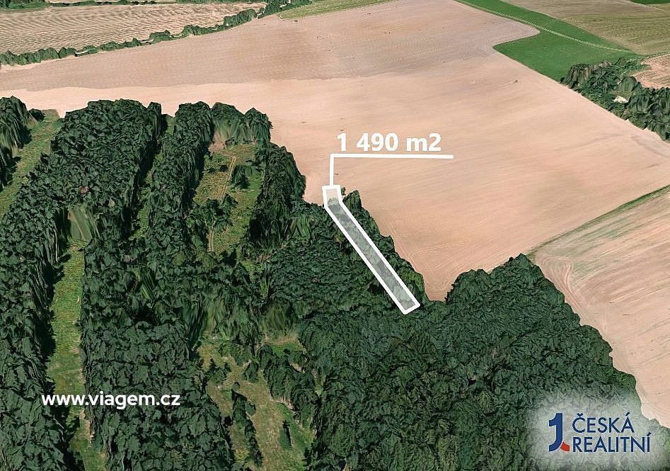 Les · Blížejov, okres Domažlice, Plzeňský kraj - 2