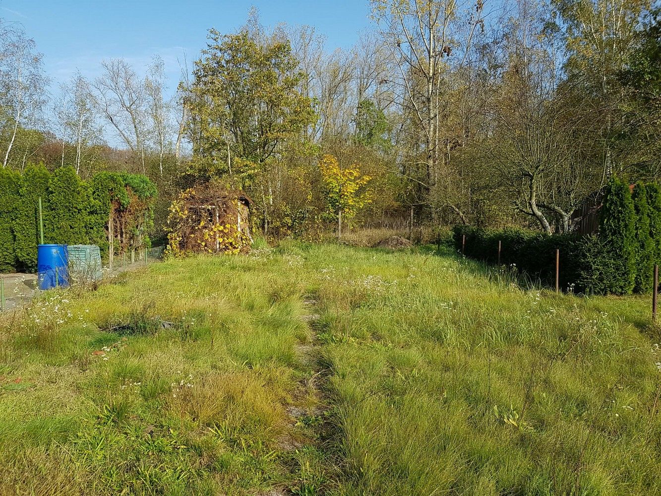 Zahrady, Rybitví, okres Pardubice, Pardubický kraj - 2