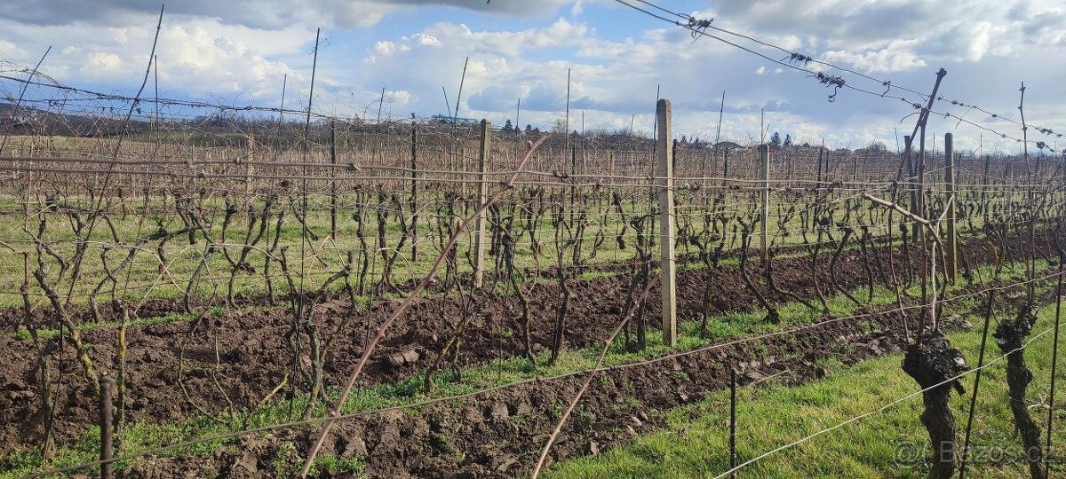 Zahrady, Drnholec, 691 83