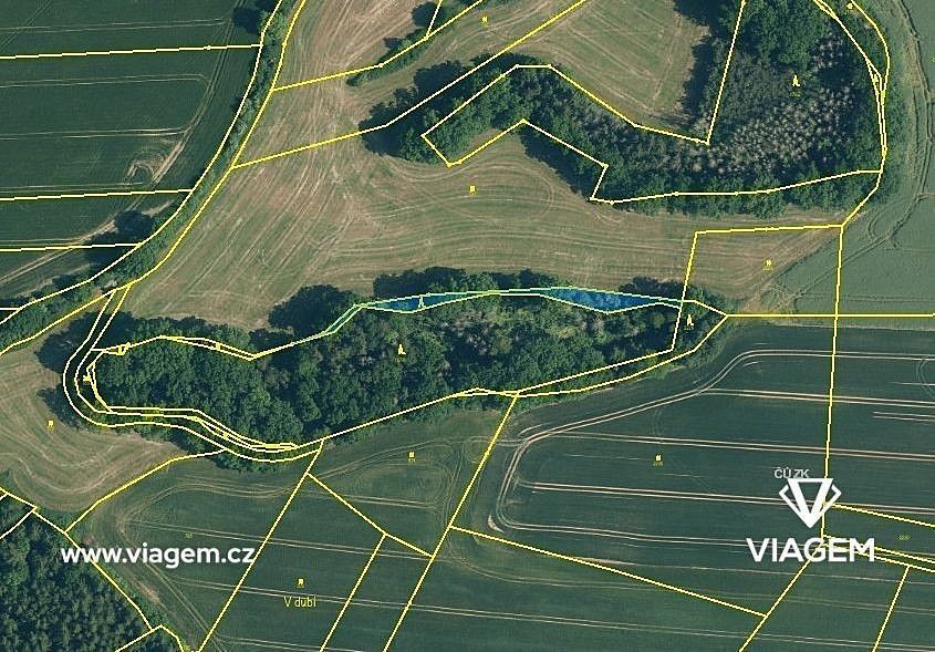 Les · Zahořany, okres Domažlice, Plzeňský kraj - 3