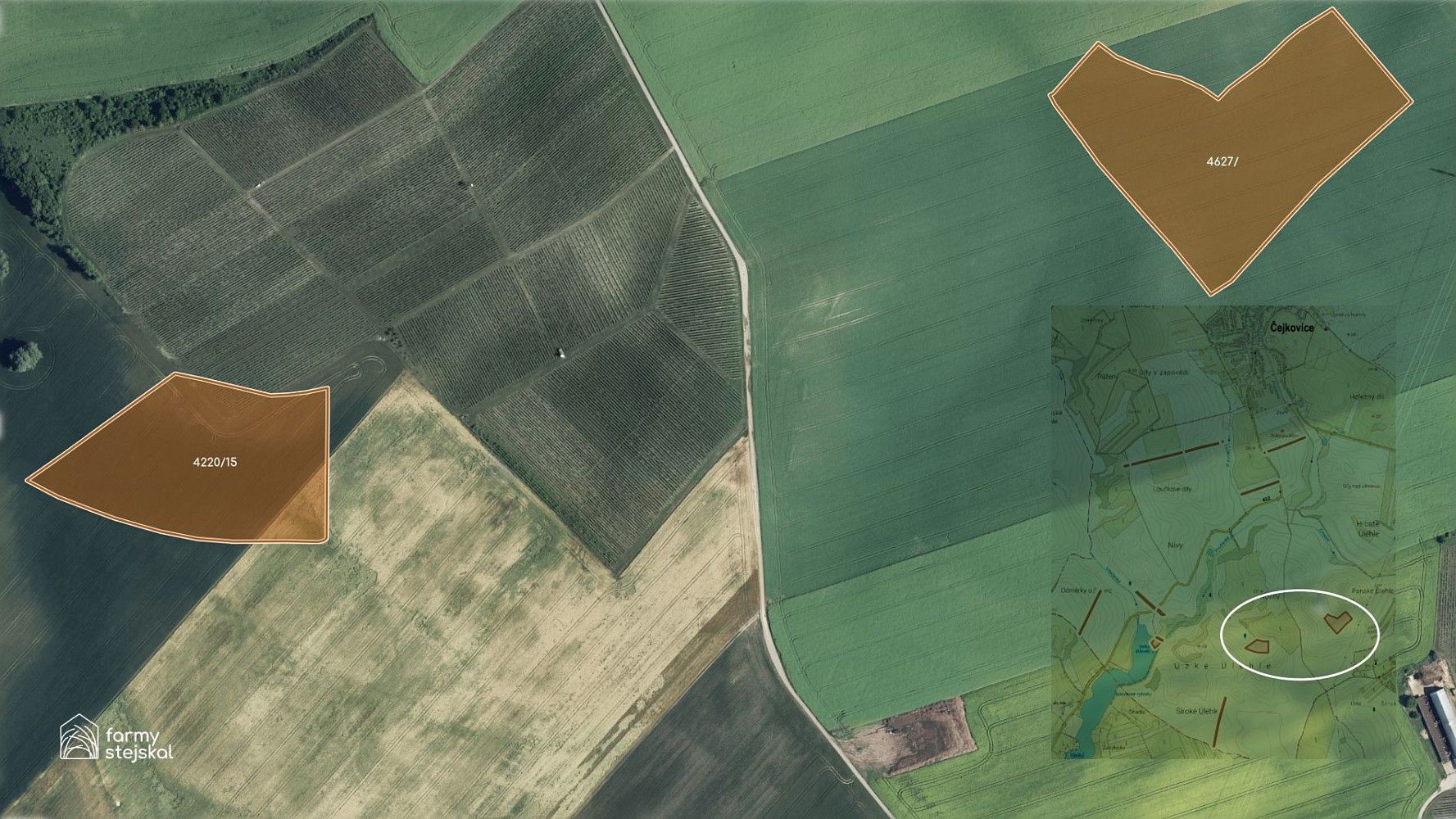 Prodej zemědělský pozemek - Čejkovice, okres Hodonín, Jihomoravský kraj - 5