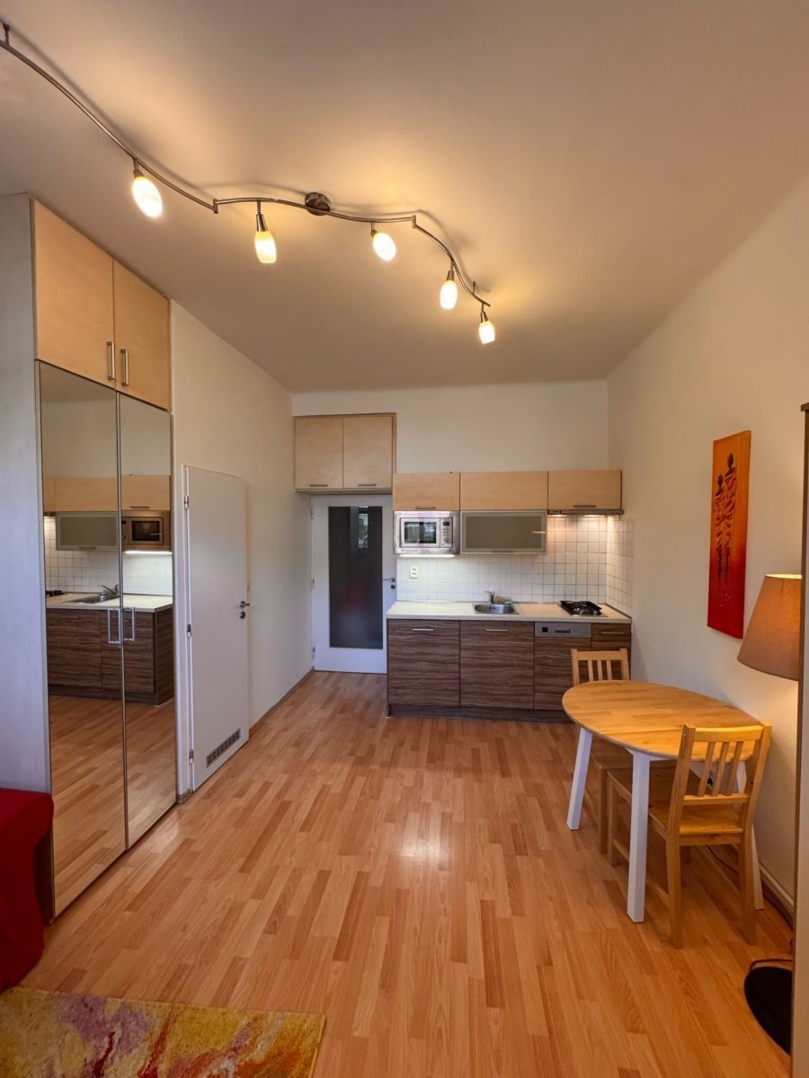 1+kk, V Domově, Praha - Žižkov, 30 m² - 2