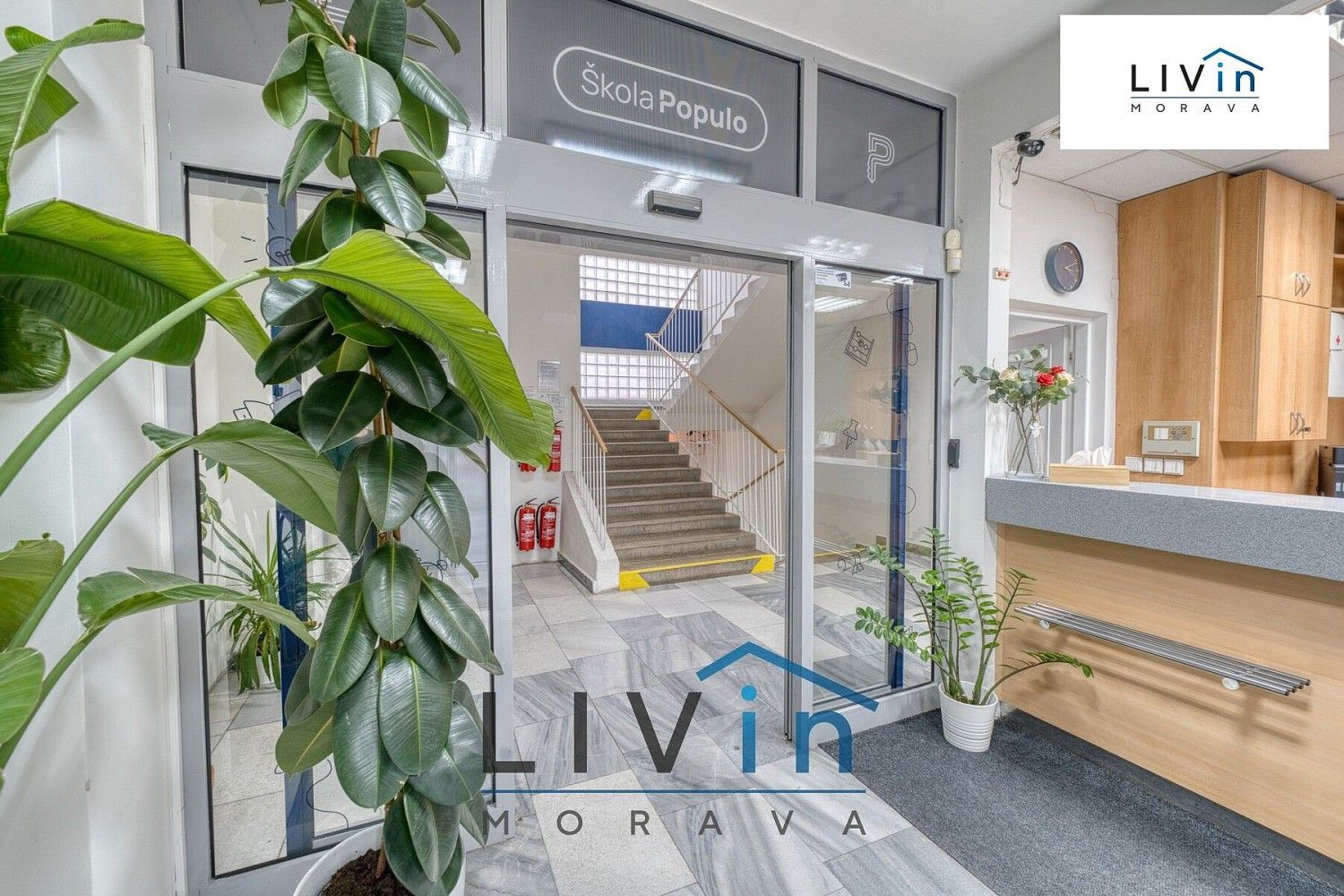 Pronájem kancelář - Olomouc - Nová Ulice, Olomoucký kraj, 20 m² - 5