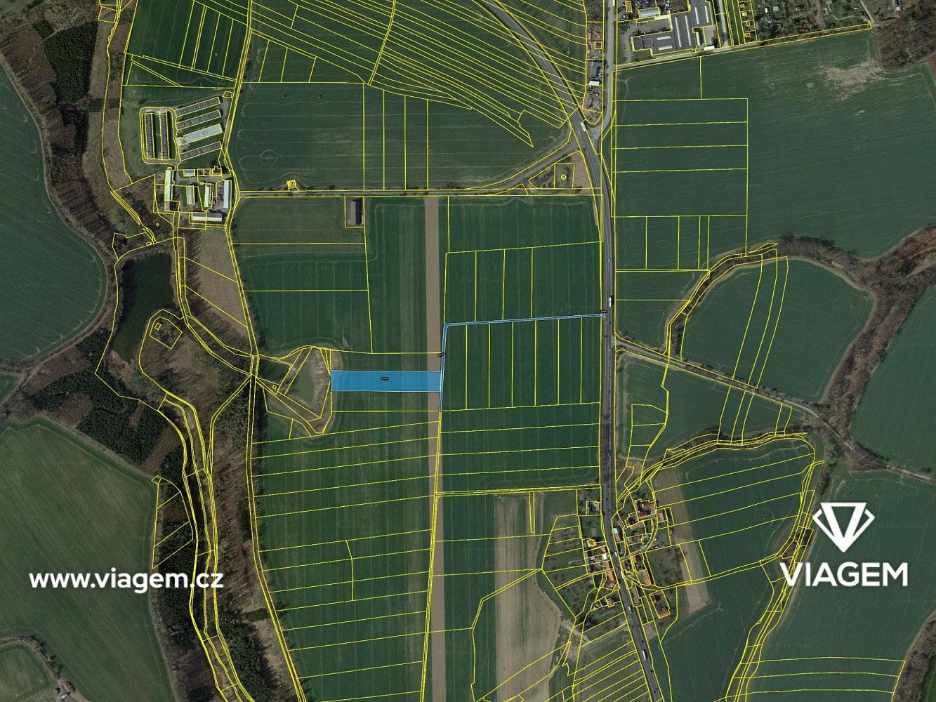 Zemědělský pozemek · Golčův Jeníkov, okres Havlíčkův Brod, Kraj Vysočina - 4