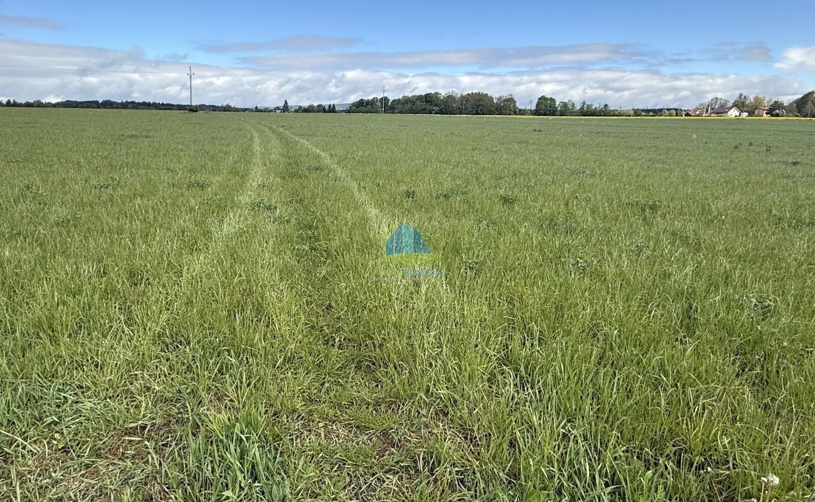 Zemědělský pozemek · 584 m² · Americká, Františkovy Lázně - 4