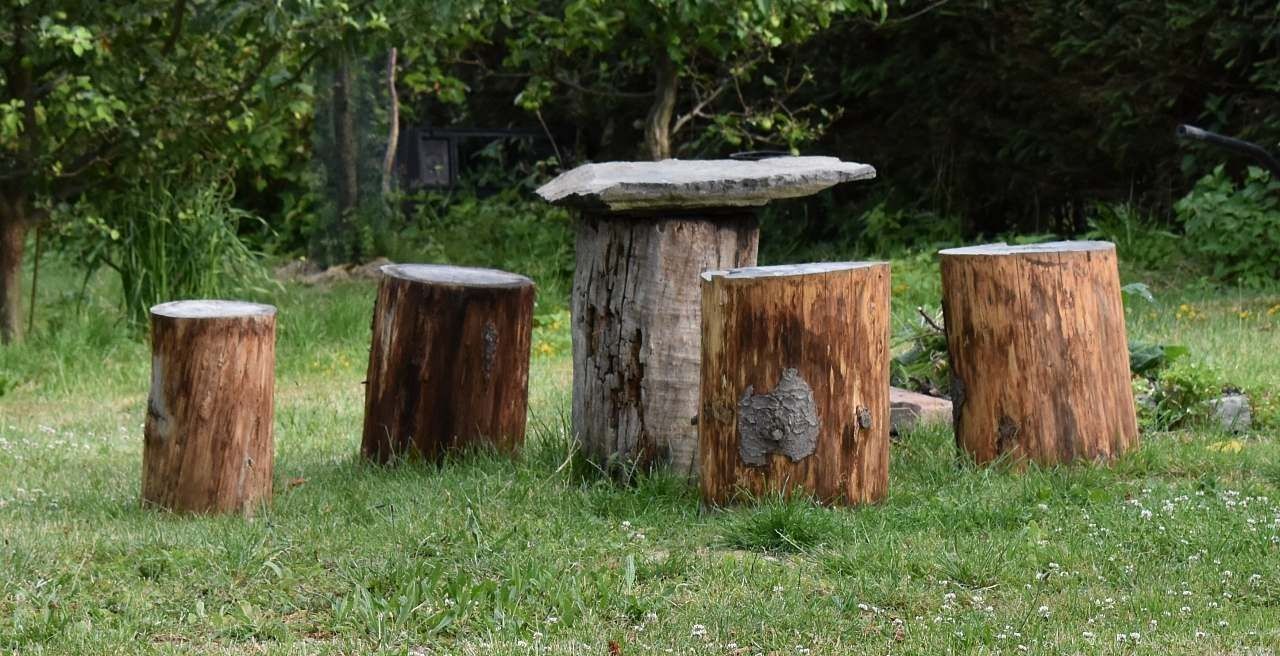 Chata · Řetová - Řetová, Pardubický kraj - 3