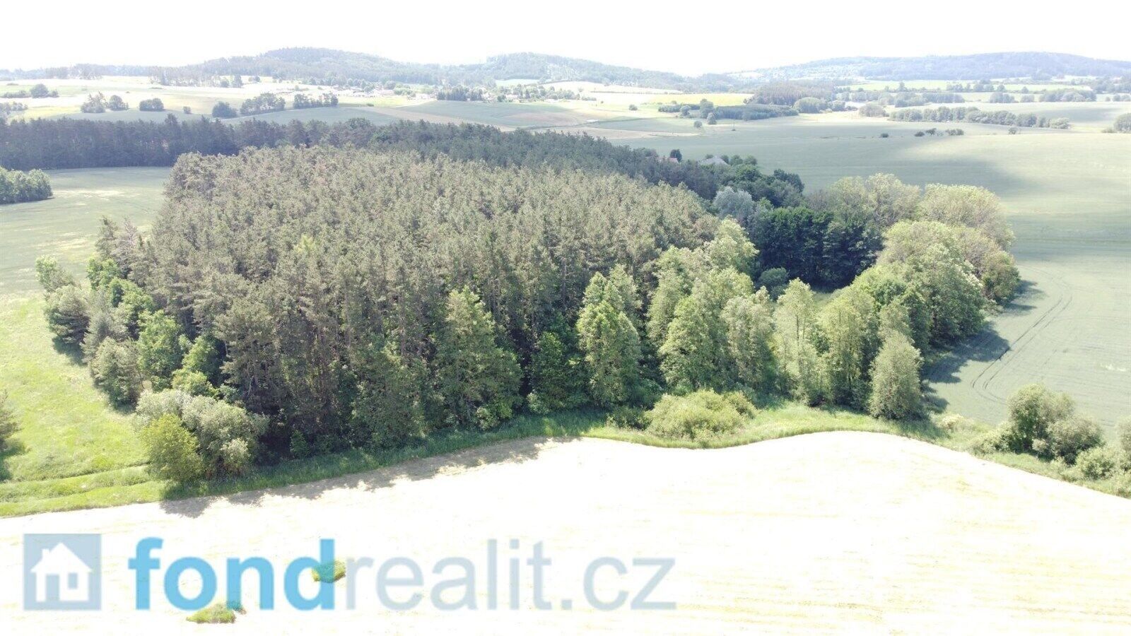 Pozemek · 16 147 m² · Radomyšl - 4
