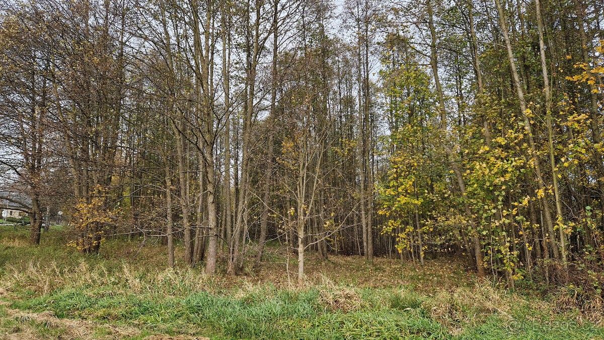 Prodej pozemek pro bydlení - Chrastava, 463 31