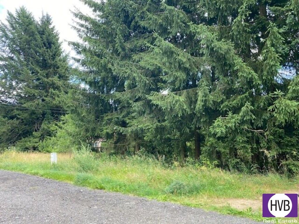 Prodej pozemek pro bydlení - Rotava, 511 m² - 5