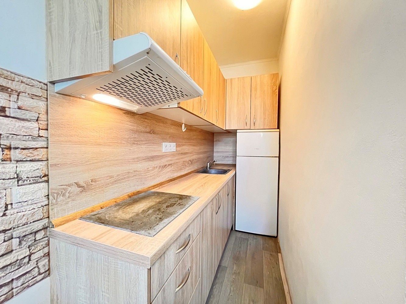 Byt 1+kk · 16 m² · Hradec Králové - Plotiště nad Labem, Královéhradecký kraj - 3