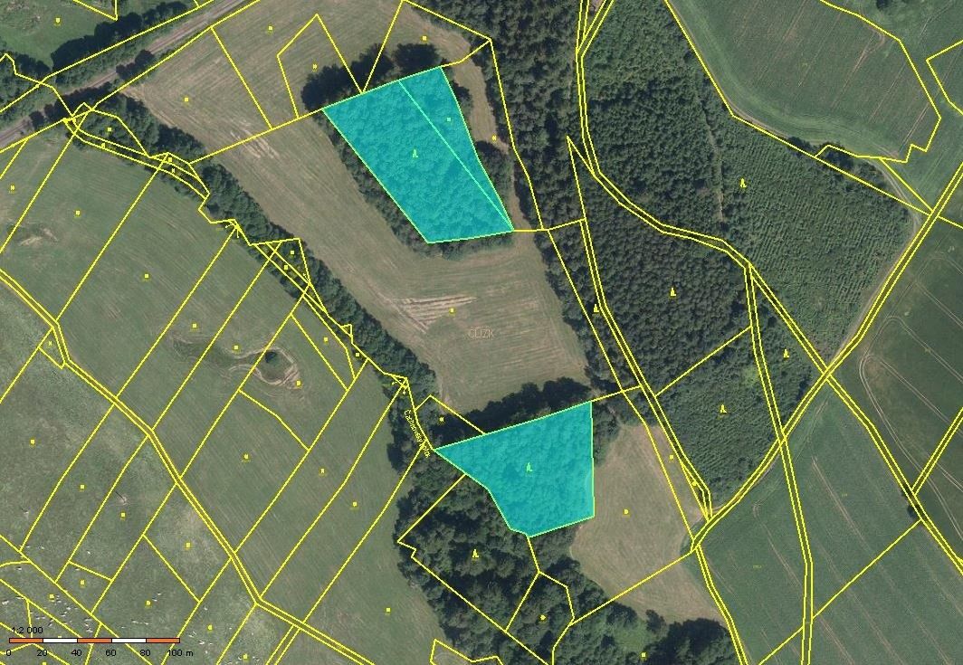 Prodej les - Pustá Kamenice