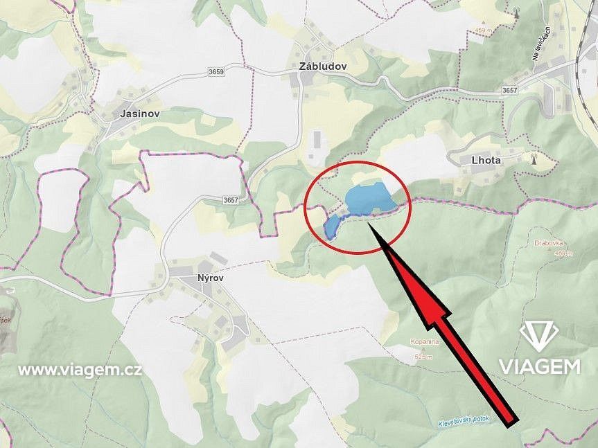 Les · Letovice, okres Blansko, Jihomoravský kraj - 4