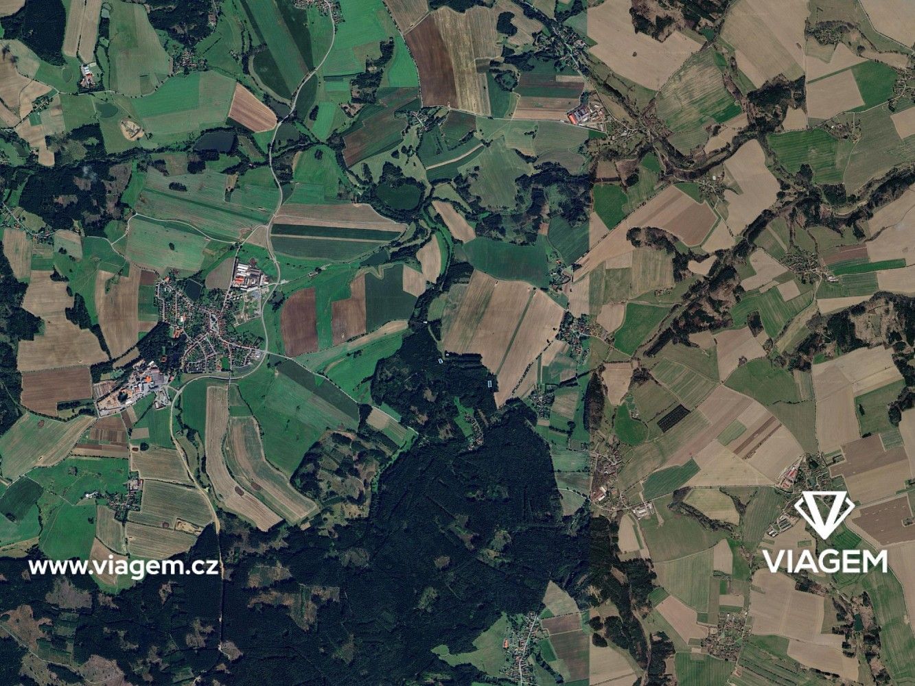 Les · Vyklantice, okres Pelhřimov, Kraj Vysočina - 3
