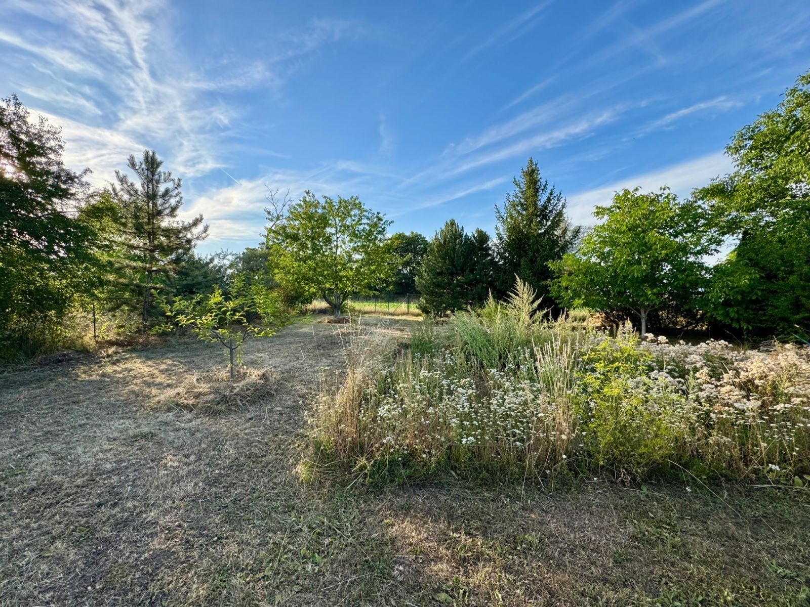 Pozemek pro bydlení, 1 466 m²