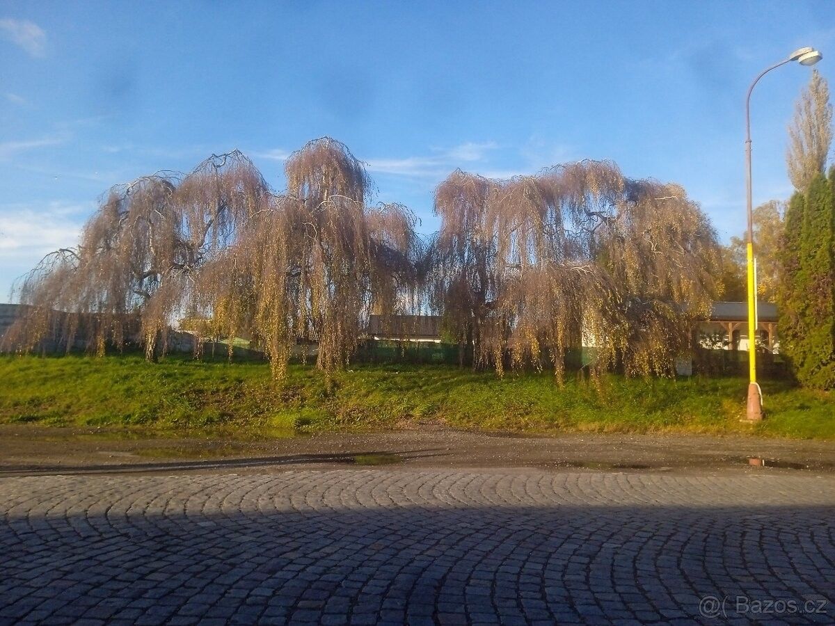 Prodej pozemek pro bydlení - Hořice v Podkrkonoší, 508 01