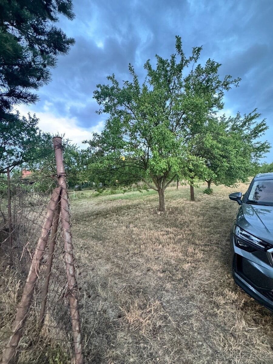 Zahrada · Veselí nad Moravou, 698 01 - 4
