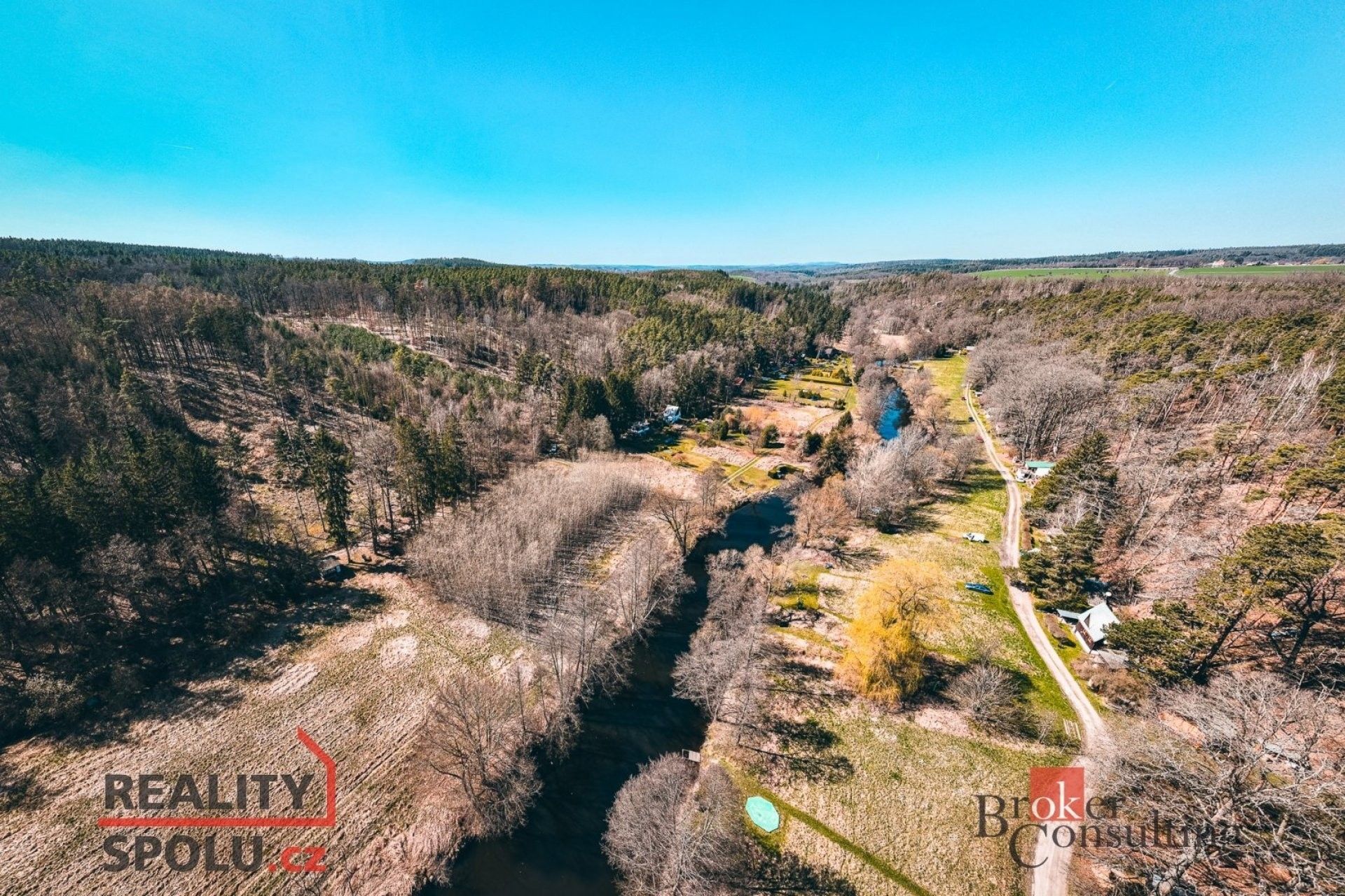 Prodej les - Plešnice, 4 109 m²