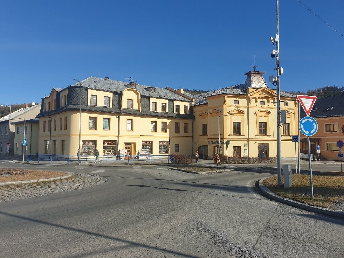 Obchodní prostory, Vrbno pod Pradědem, 793 26