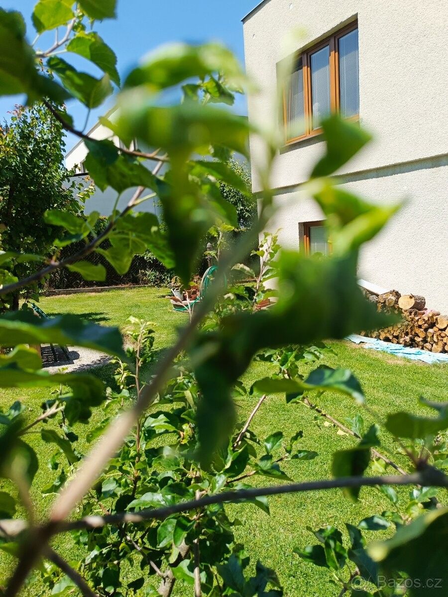 Pronájem rodinný dům - Boršov nad Vltavou, 373 82