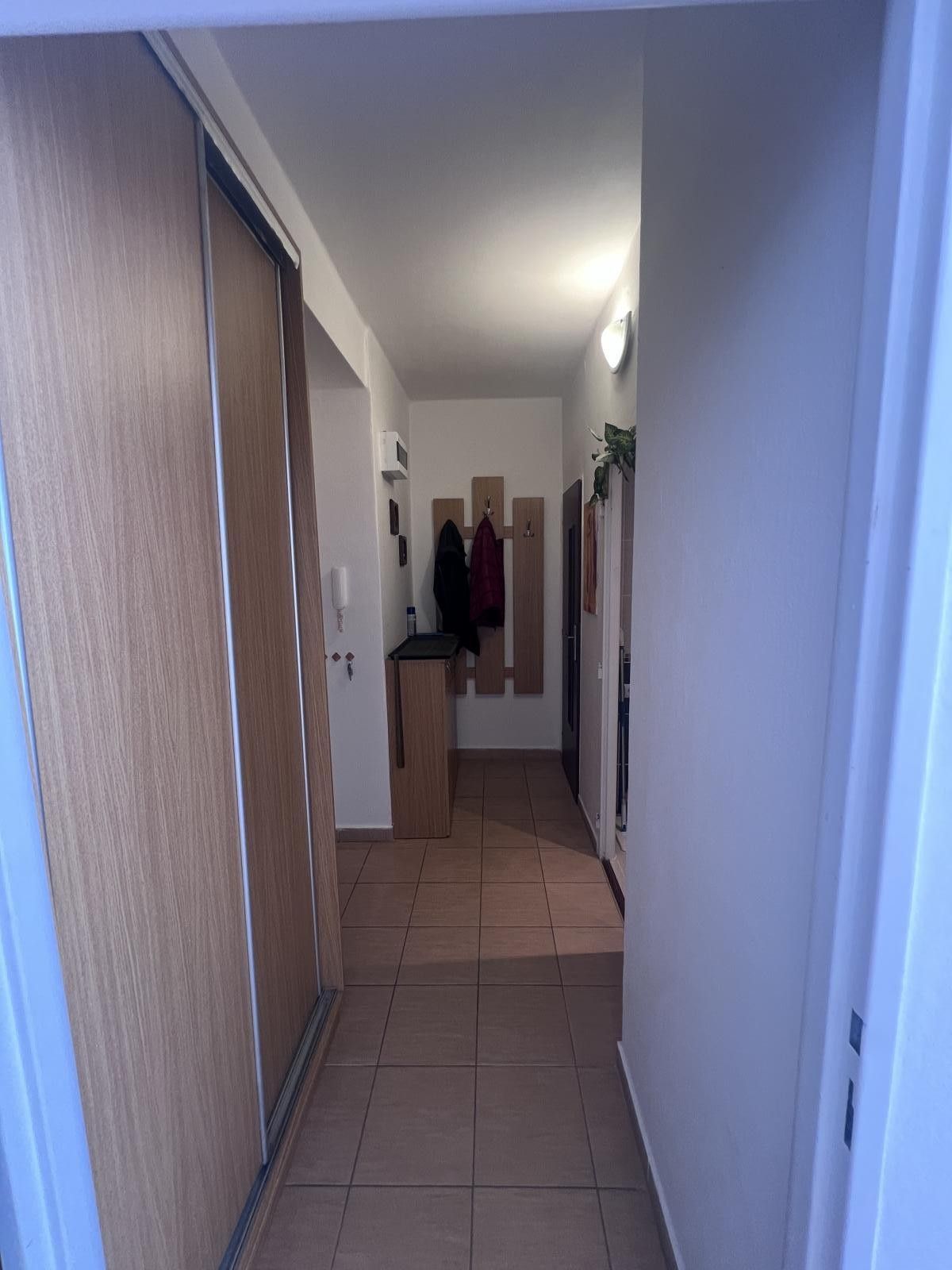 Pronájem byt 1+1 - Emila Holuba, Havířov, 36 m² - 5