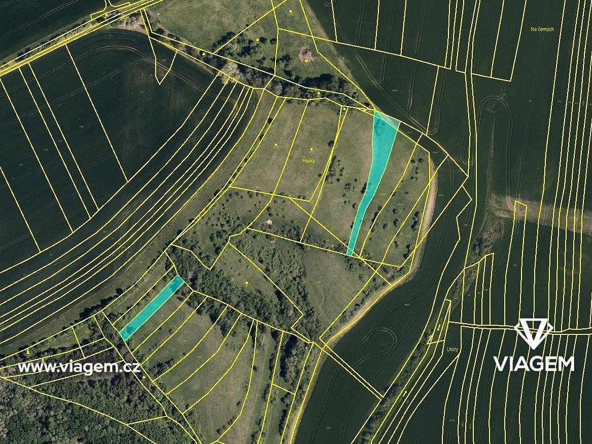 Zemědělské pozemky, Nevojice, okres Vyškov, Jihomoravský kraj - 2