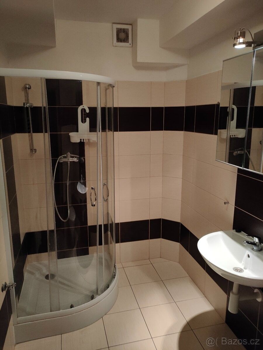 Pronájem byt - Bzenec, 696 81