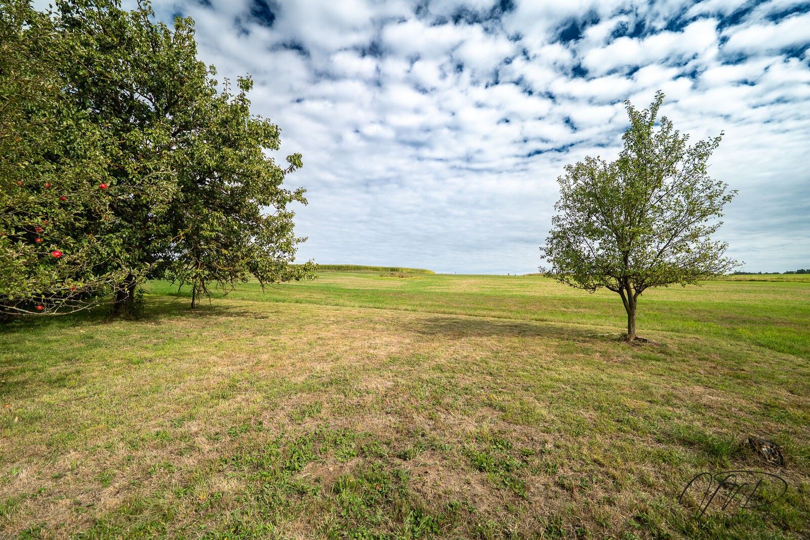 Pozemek pro bydlení · 1 454 m² · Habry - 4