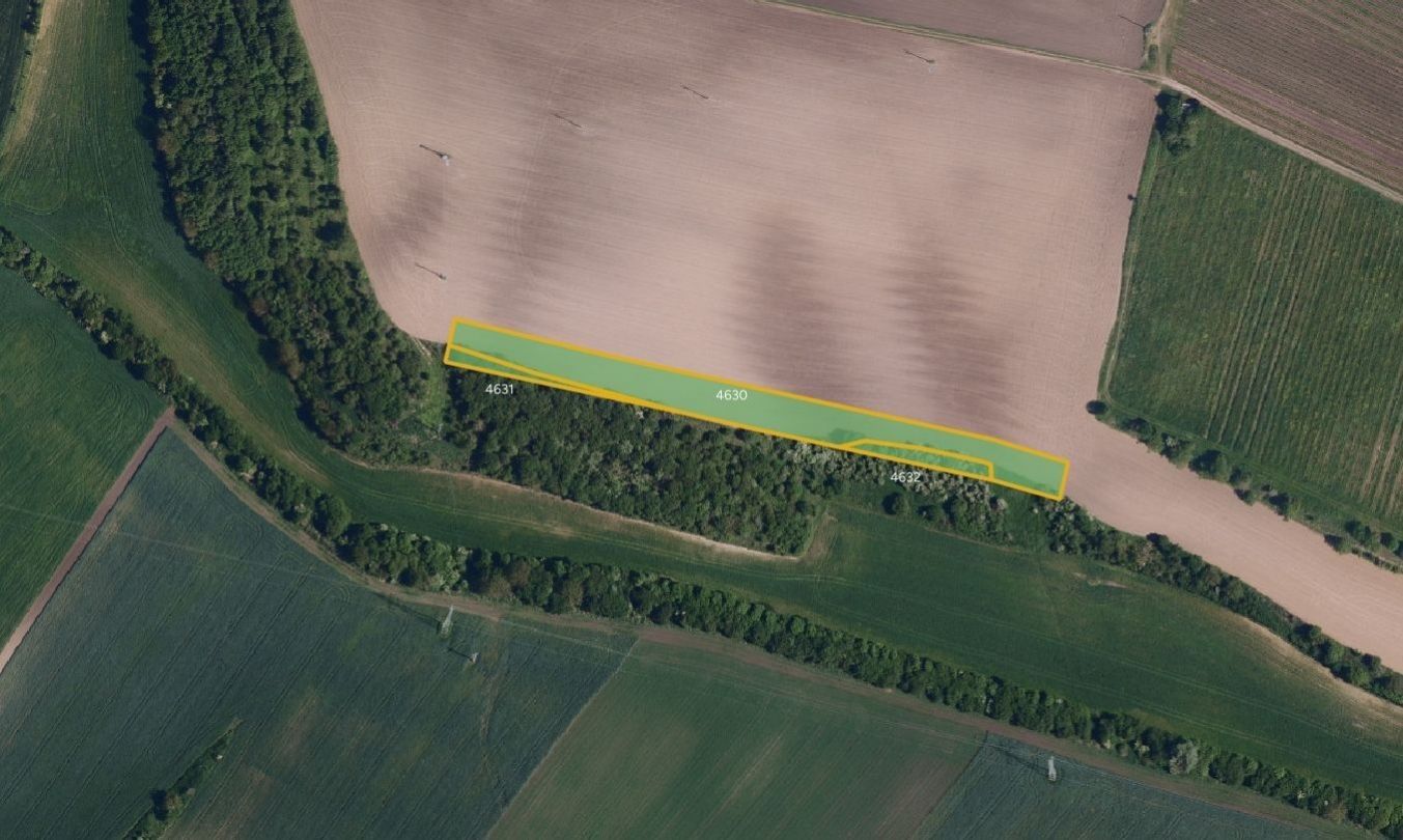 Zemědělské pozemky, Klobouky u Brna - 2