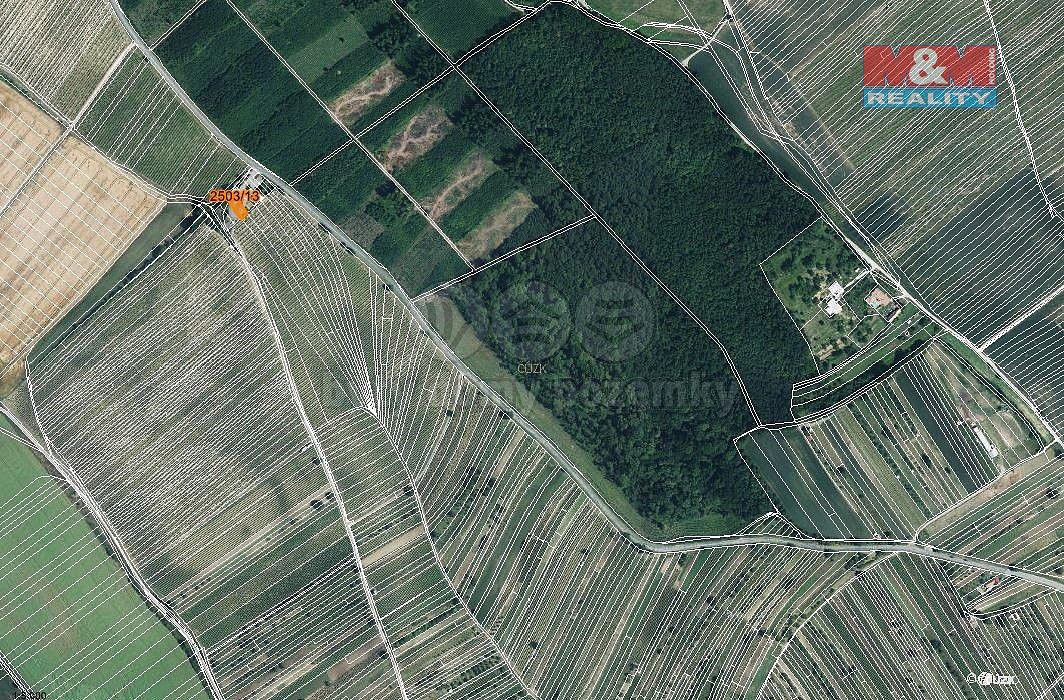 Zemědělský pozemek · Dolní Bojanovice, okres Hodonín, Jihomoravský kraj - 4