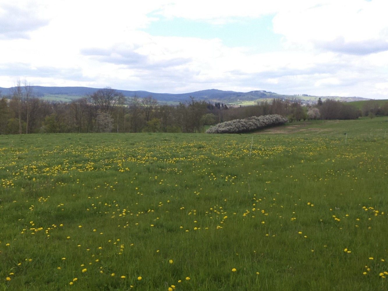 Prodej louka - Světlá Hora, okres Bruntál, Moravskoslezský kraj - 5