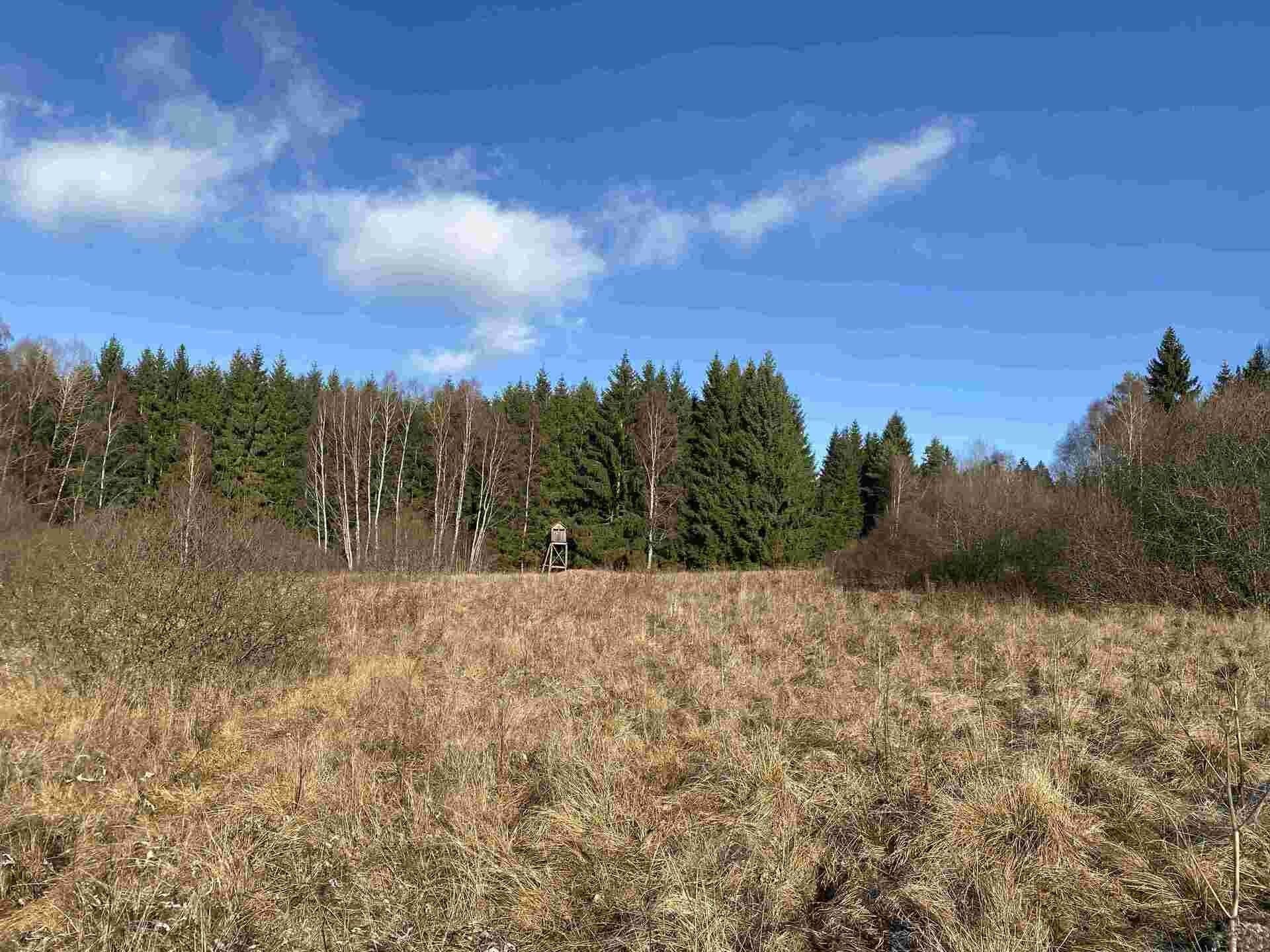 Zemědělský pozemek · 16 994 m² · Černá v Pošumaví - 4