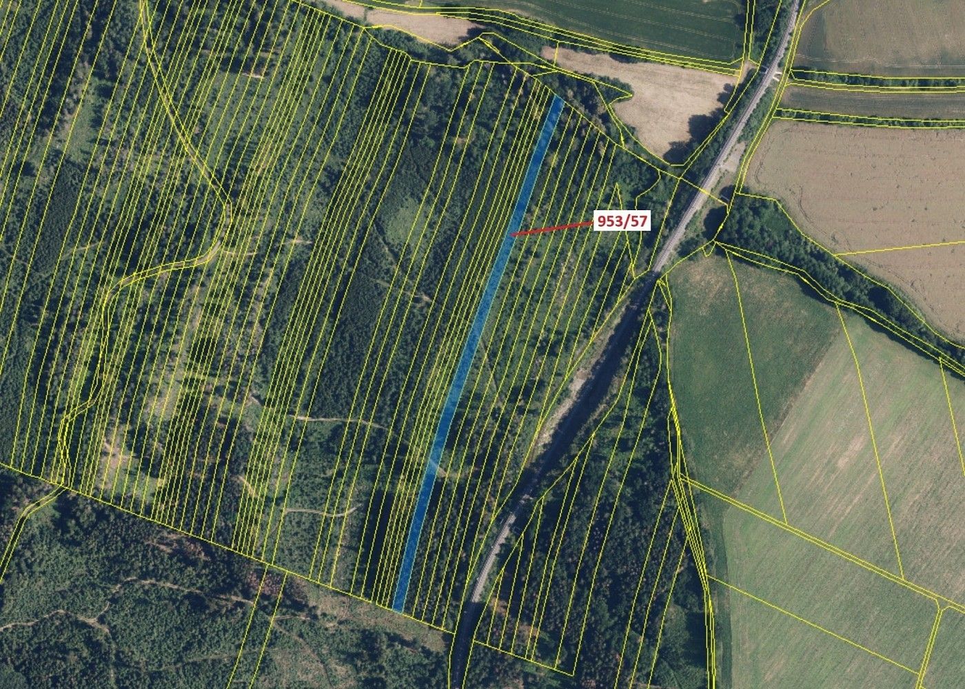 Prodej les - Libina, okres Šumperk, Olomoucký kraj - 2