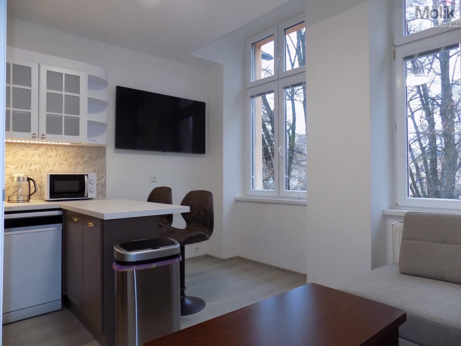 2+1, U Hadích lázní, Teplice, 53 m²