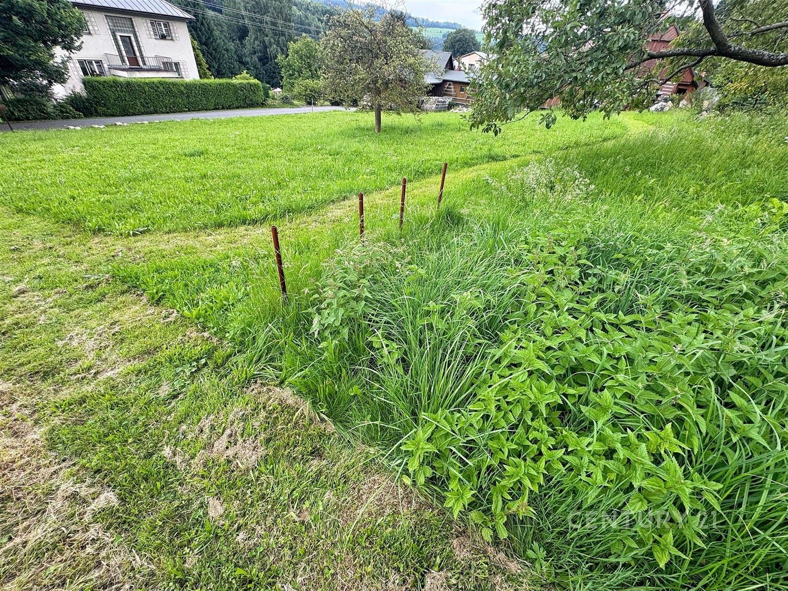 Prodej pozemek pro bydlení - Zlatá Olešnice