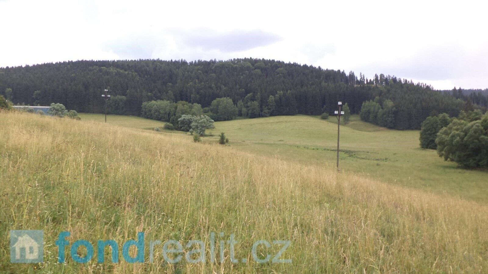 Zemědělské pozemky, Staré Buky, 10 957 m² - 2