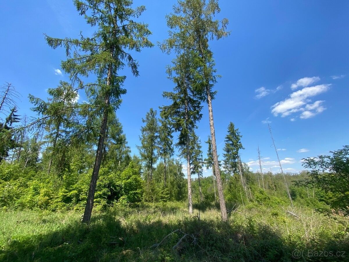 Prodej pozemek pro bydlení - Kropáčova Vrutice, 294 79