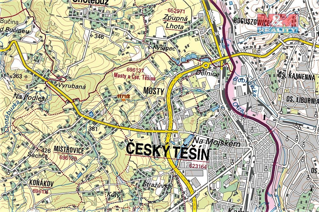 Les · Český Těšín, okres Karviná, Moravskoslezský kraj - 3