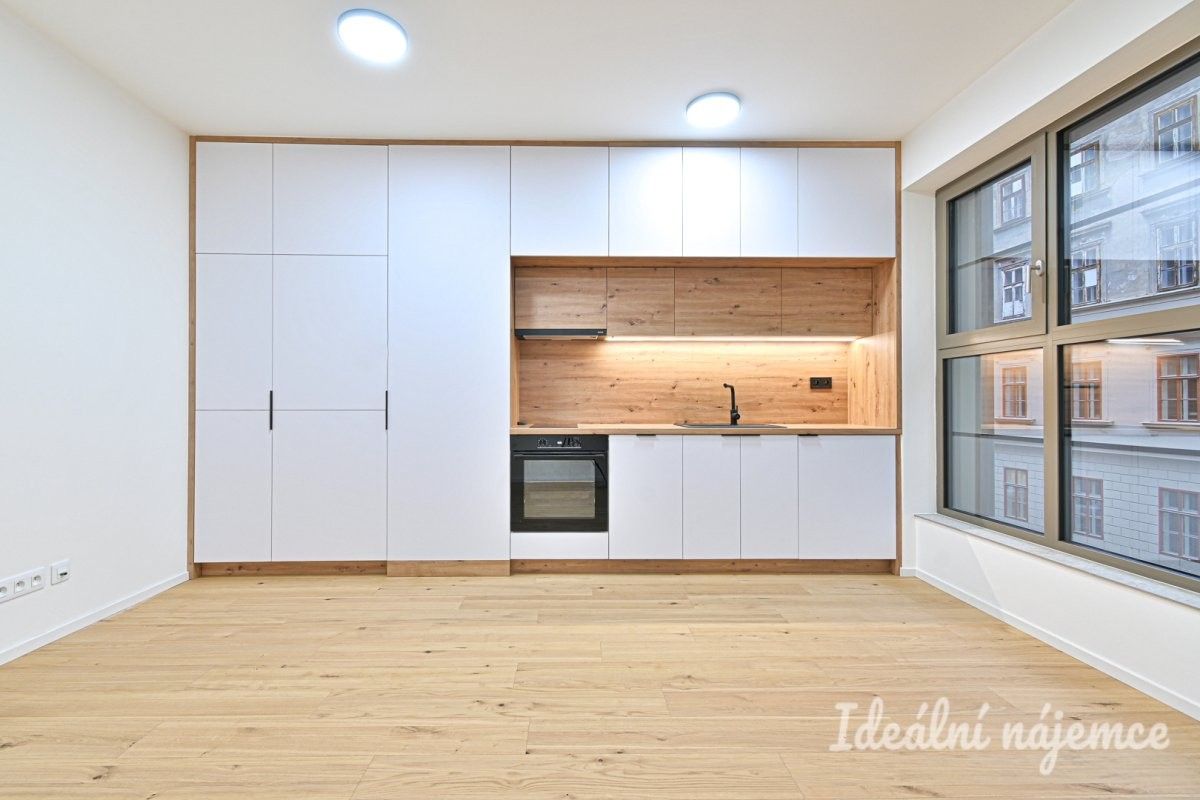 1+kk, Bratislavská, Brno, 29 m²