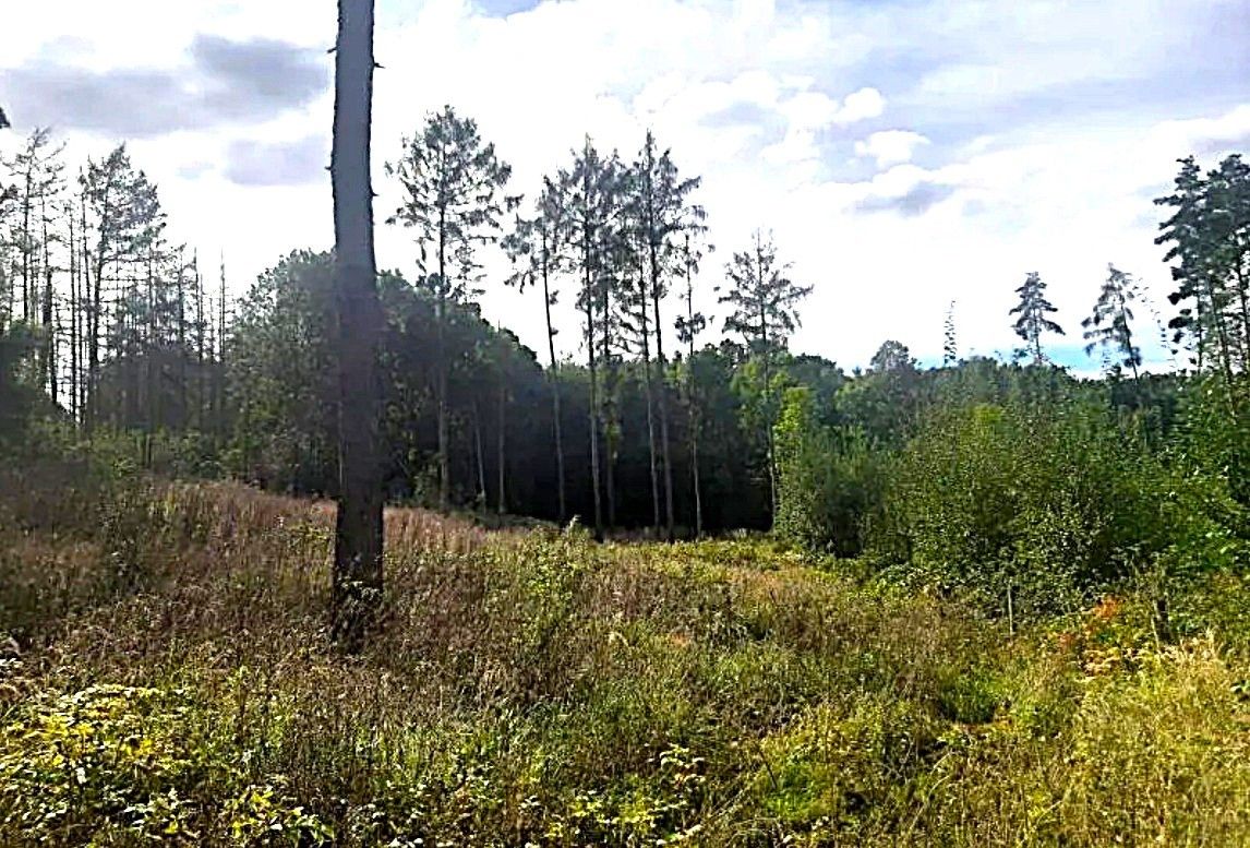 Pozemky pro bydlení, Bohuslavice nad Metují, 549 06 - 1
