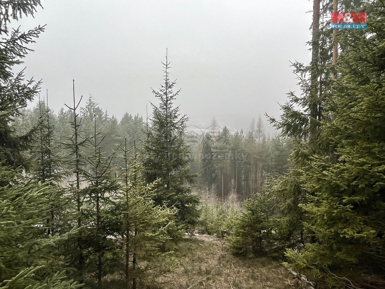 Lesy, Pecka, okres Jičín, Královéhradecký kraj - 2