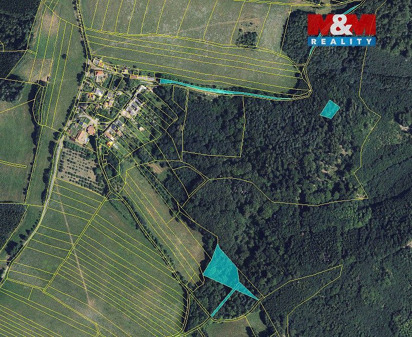 Prodej les - Městečko Trnávka - Stará Roveň, okres Svitavy, Pardubický kraj - 5