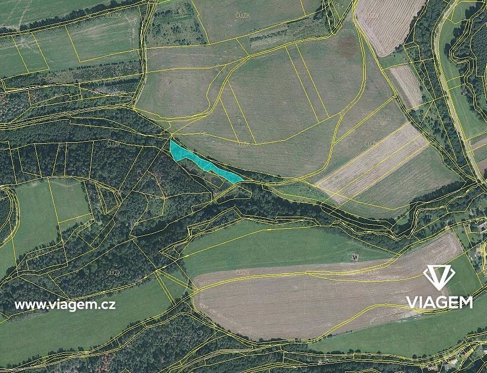 Prodej les - Horní Poříčí, okres Blansko, Jihomoravský kraj - 2