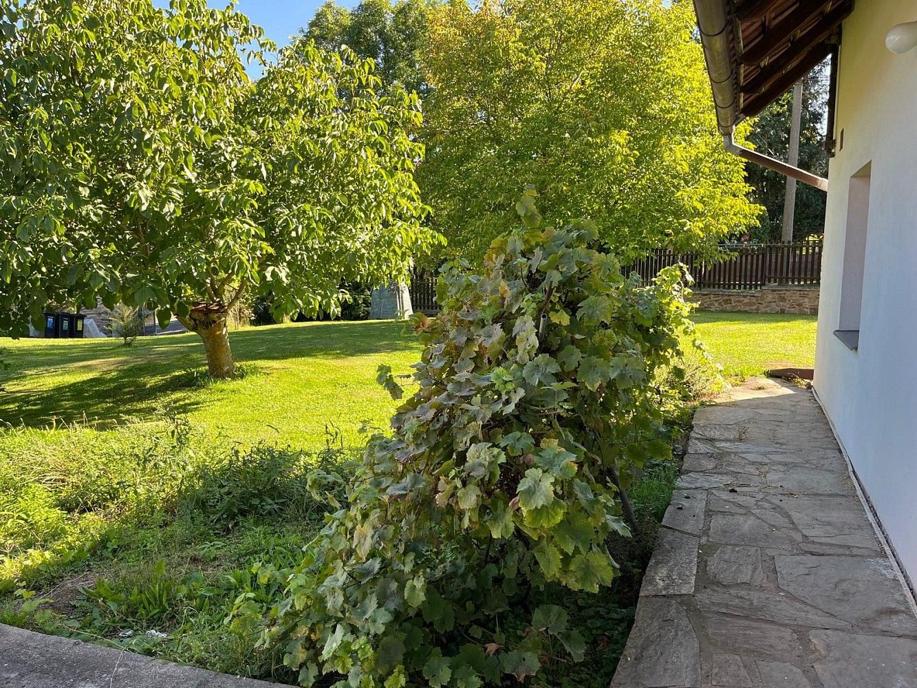 Prodej rodinný dům - Barchovice, okres Kolín, Středočeský kraj, 184 m² - 5