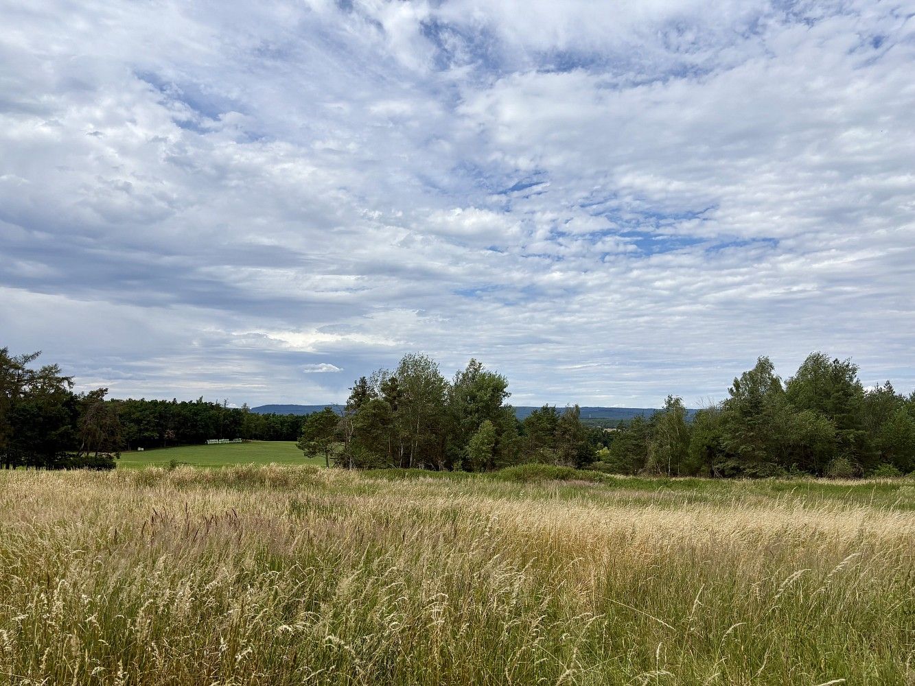 Louka · Rybníky - Libice, okres Příbram, Středočeský kraj - 3