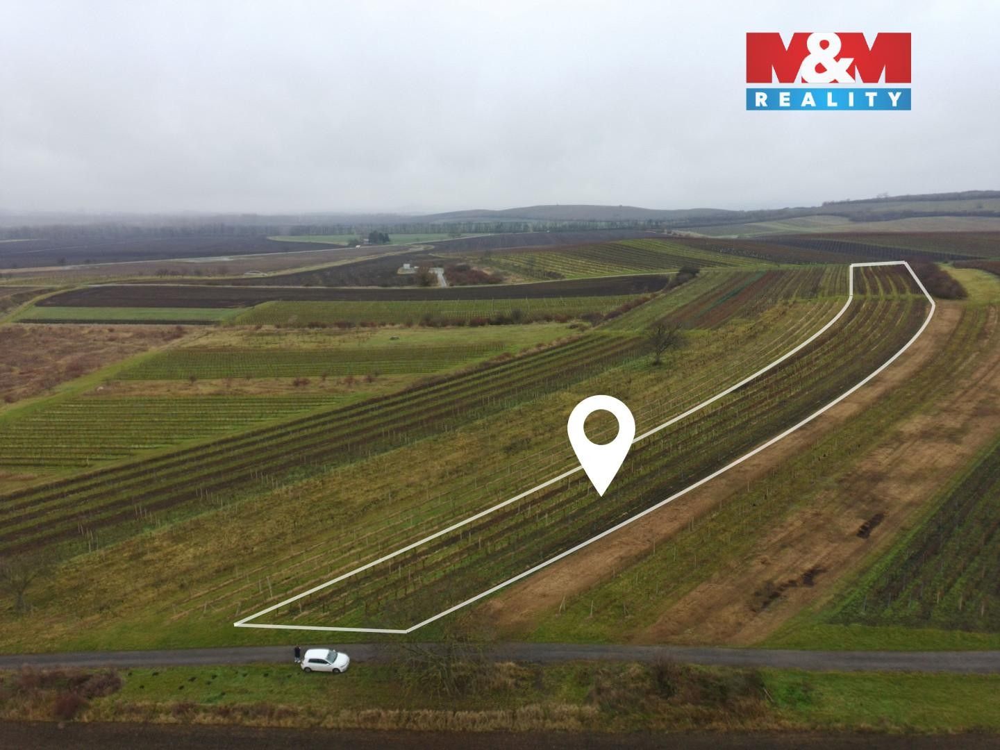 Prodej zemědělský pozemek - Dolní Dunajovice