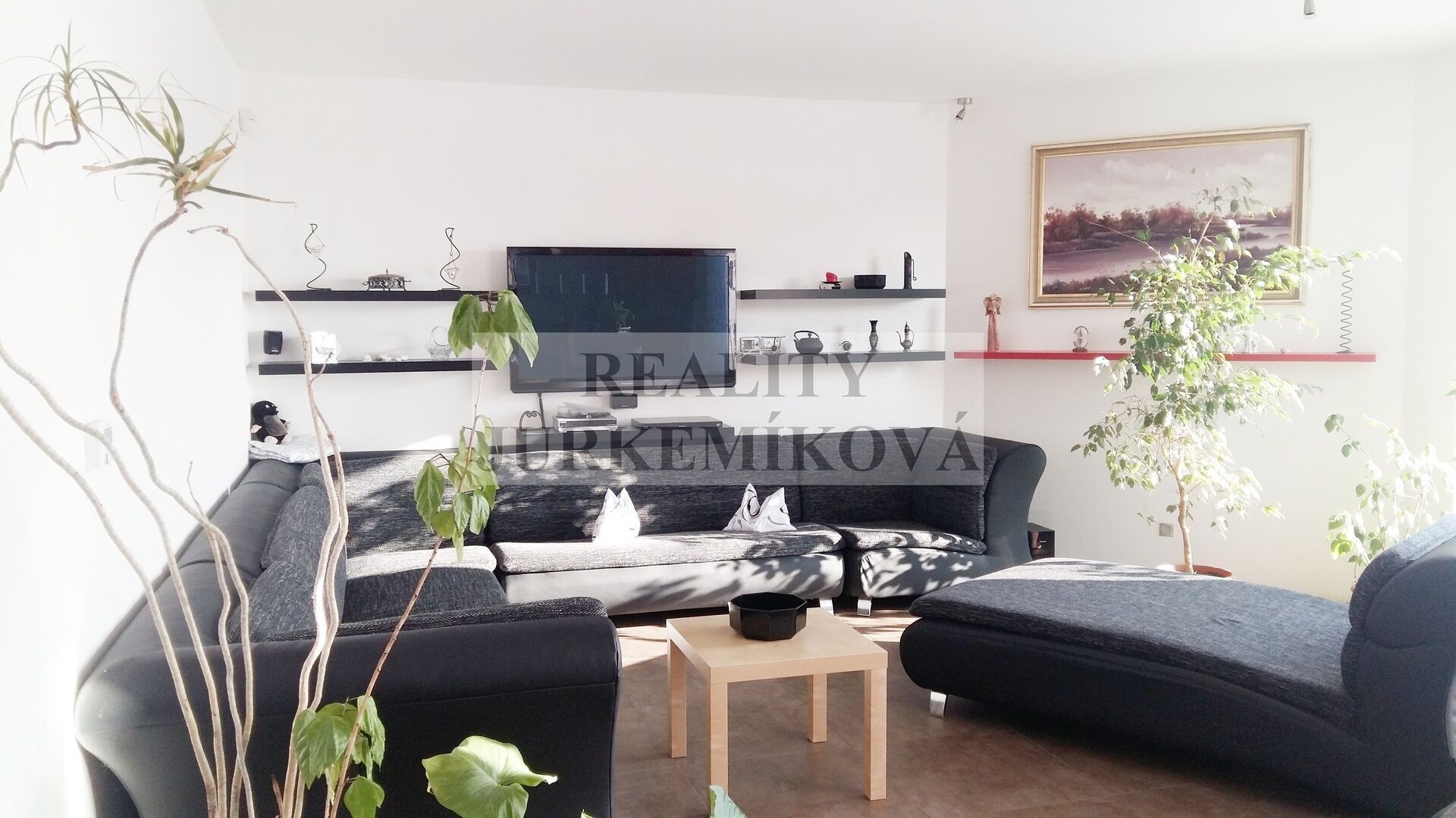 Pronájem byt 1+kk - Janáčkova, České Budějovice, 25 m²