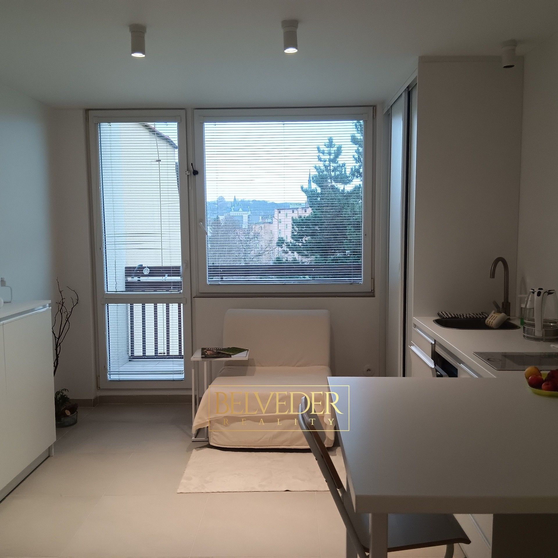 1+kk, Petra Jilemnického, Teplice, 26 m²