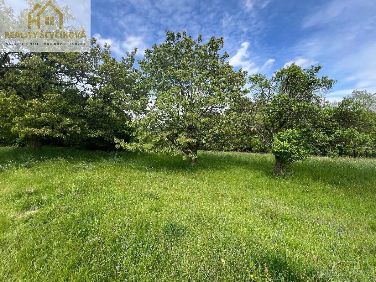 Prodej pozemek pro bydlení - Dvůr Králové nad Labem, 544 01